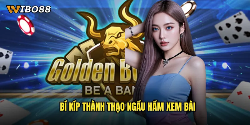 Bí kíp thành thạo Ngầu hầm xem bài